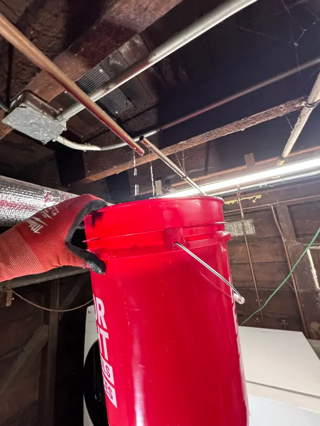 Photo gallery: 2024 05 15 16 demo, image 3 of 9