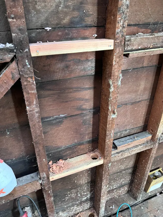 Photo gallery: 2024 06 framing, image 6 of 6
