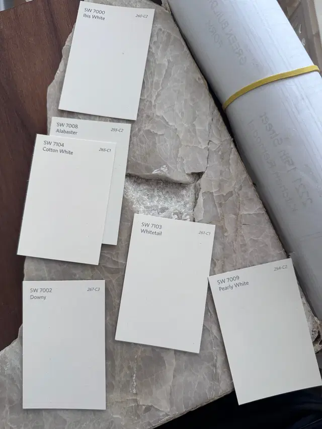 Photo gallery: 2024 07 paint, image 1 of 6