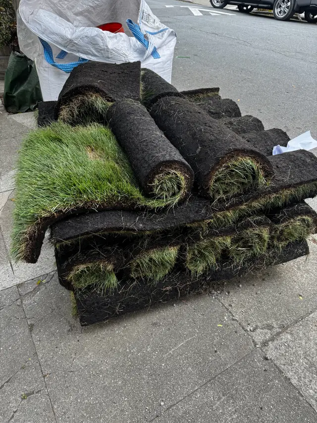 Photo gallery: august 2025 sod, image 1 of 5