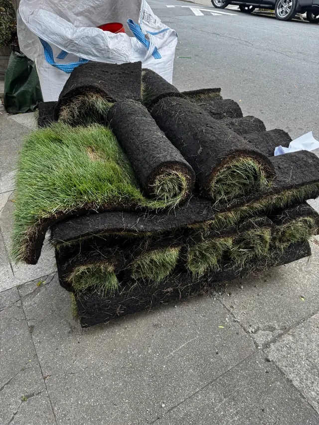 Photo gallery: august 2025 sod, image 1 of 5