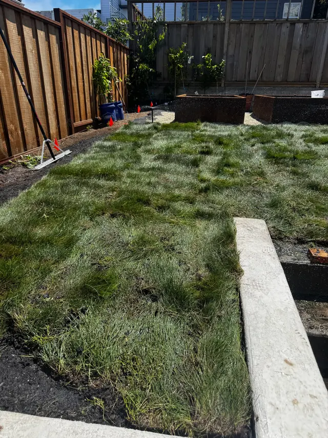 Photo gallery: august 2025 sod, image 2 of 5
