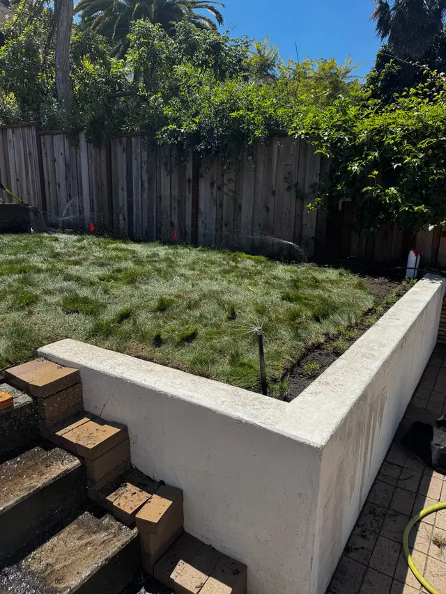 Photo gallery: august 2025 sod, image 3 of 5
