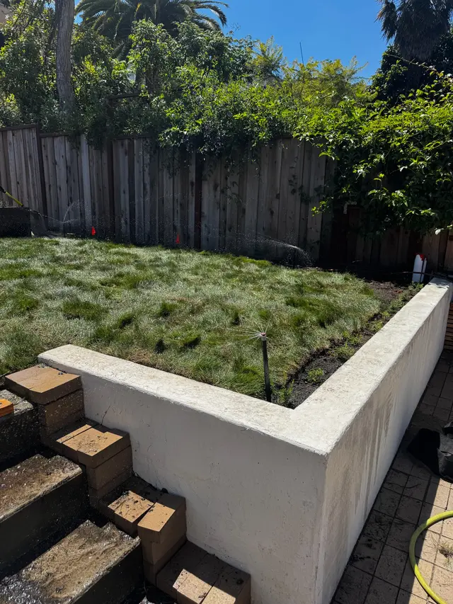 Photo gallery: august 2025 sod, image 3 of 5