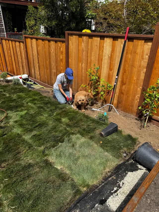 Photo gallery: august 2025 sod, image 4 of 5