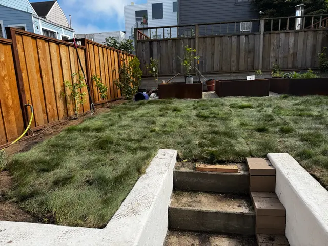 Photo gallery: august 2025 sod, image 5 of 5