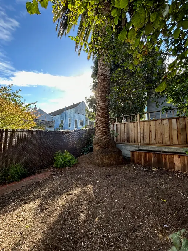 Photo gallery: before, image 3 of 3