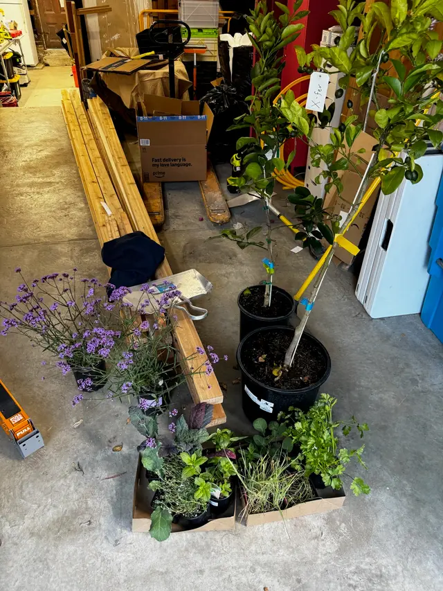 Photo gallery: july plants, image 2 of 15
