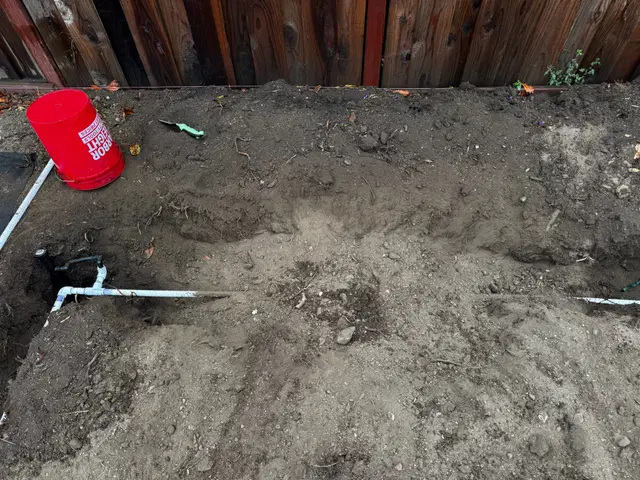Photo gallery: july sprinklers, image 5 of 10