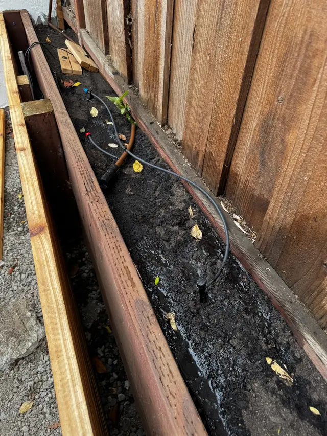 Photo gallery: july sprinklers, image 10 of 10