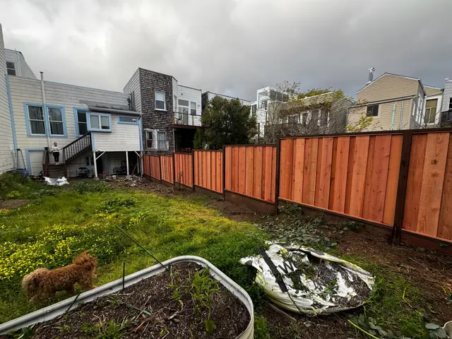 Photo gallery: march fence, image 7 of 7