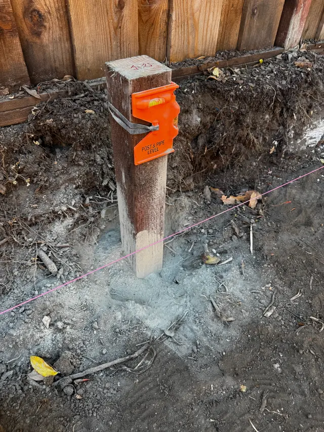 Photo gallery: may 2025 mini retaining, image 5 of 7