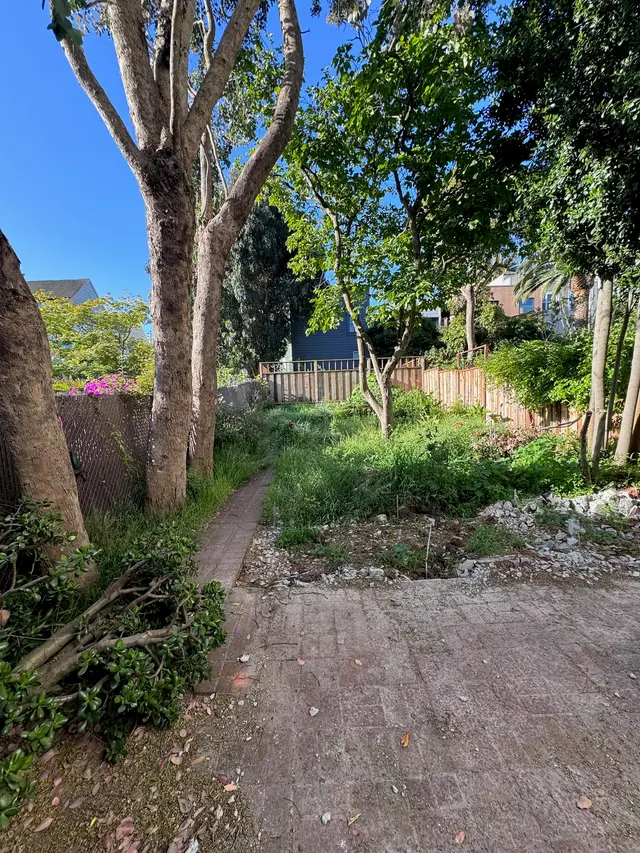 Photo gallery: may demo, image 1 of 5
