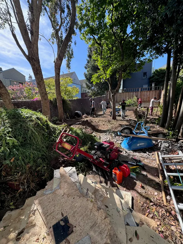 Photo gallery: may demo, image 3 of 5