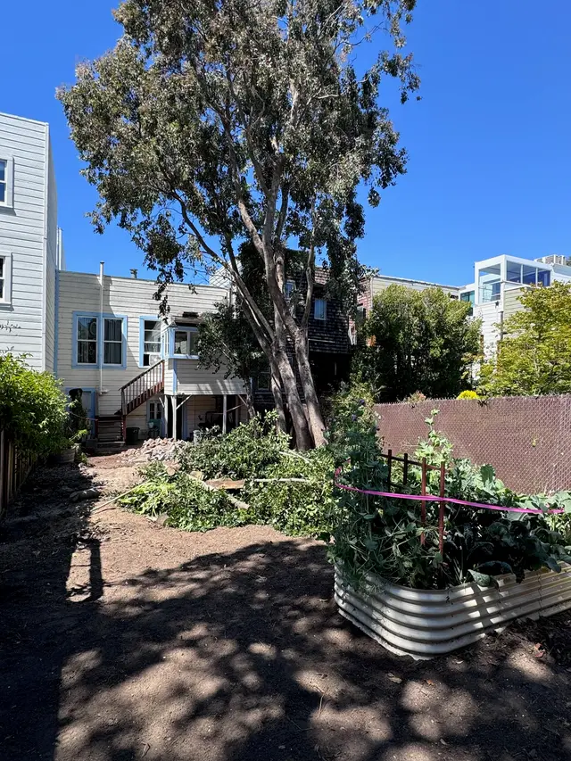 Photo gallery: may demo, image 5 of 5