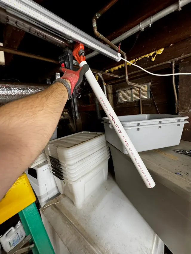 Photo gallery: may june 2025 utilities, image 2 of 14