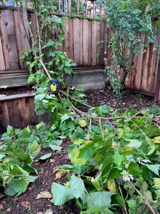 Photo gallery: misc destruction, image 4 of 9